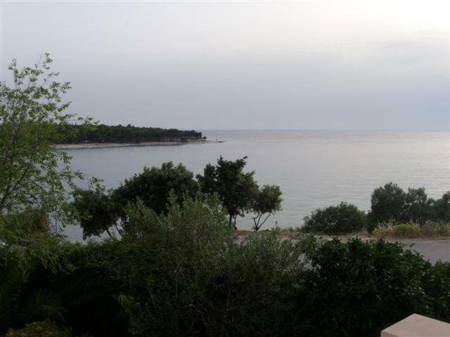 פרימוסטן Apartments Tonka מראה חיצוני תמונה